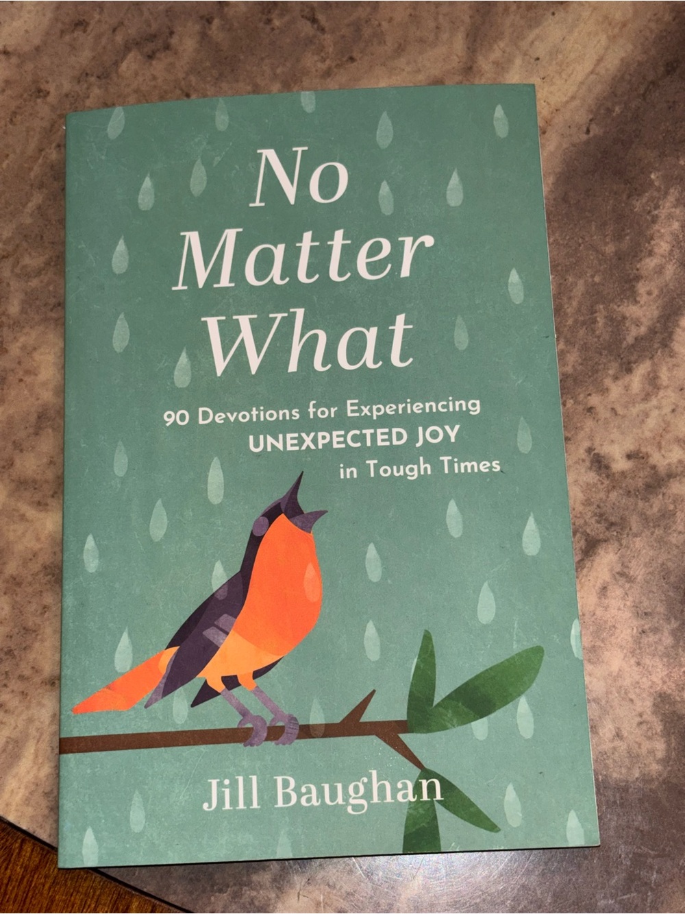 No Matter What by Jill Baughan - Teal Cover with Orange Bird